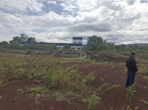 იყიდება არა სასოფლო-სამეურნეო მიწის ნაკვეთი ხაშურის მუნიციპალიტეტში